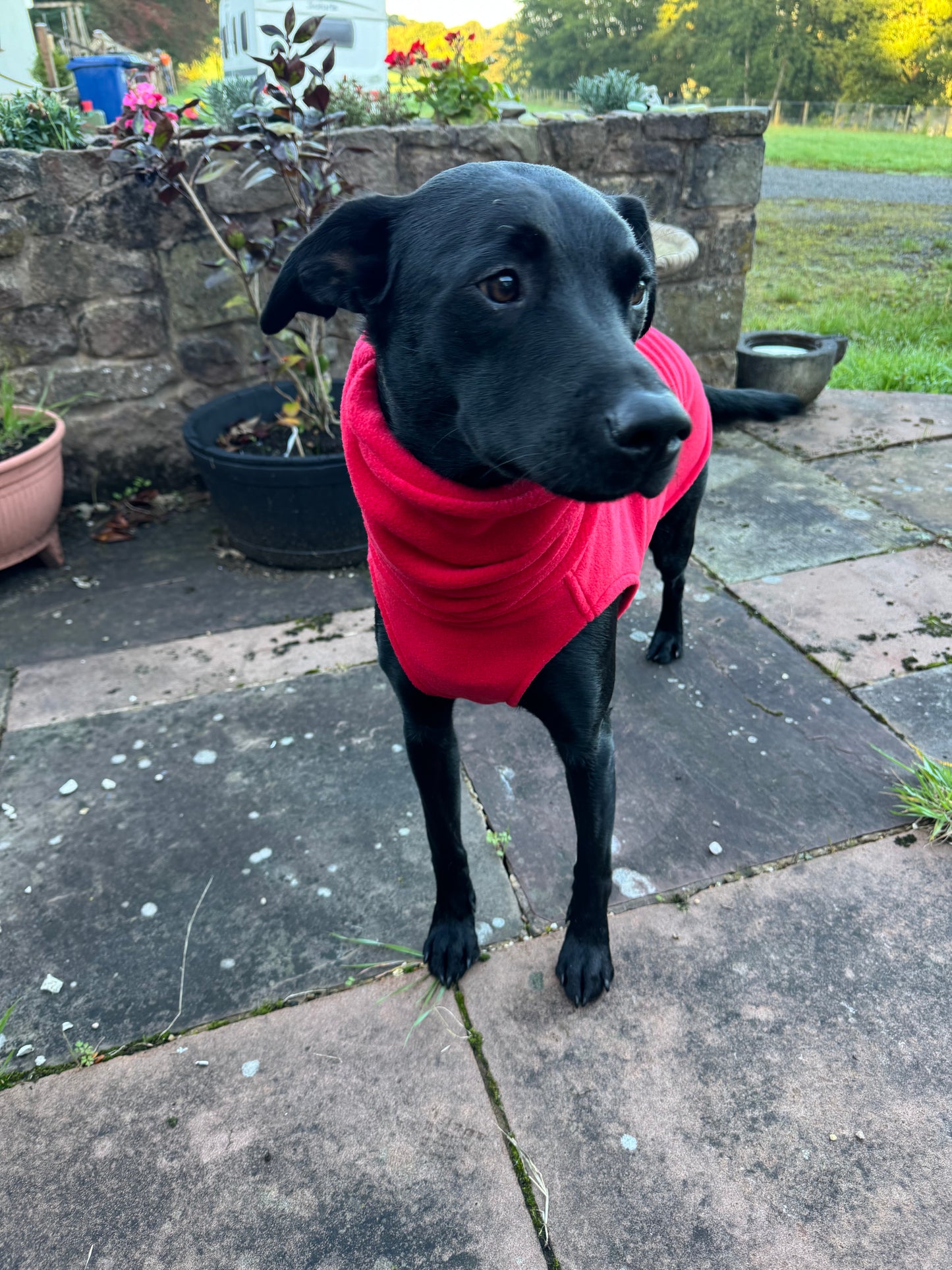 Plain colour polar fleece sleeveless jumpers