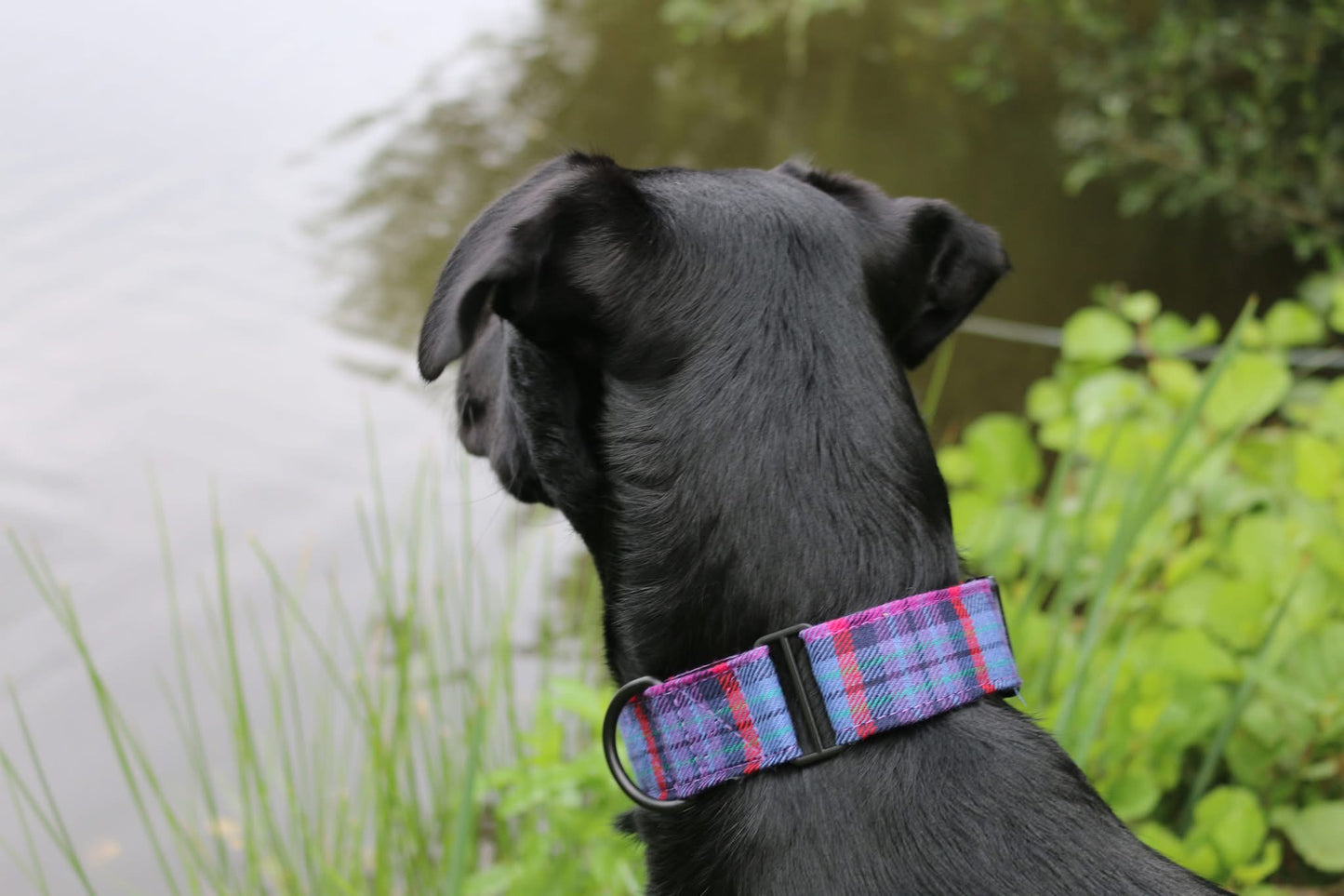 The Luna wool slider collar
