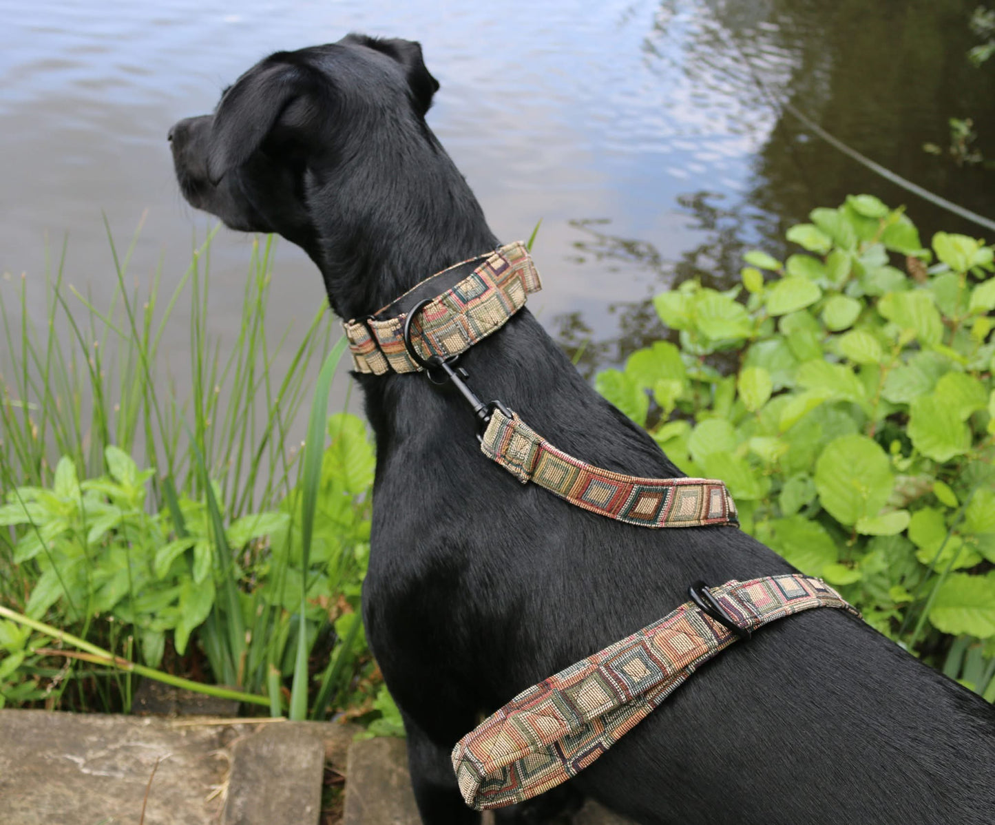 Tapestry martingale collar