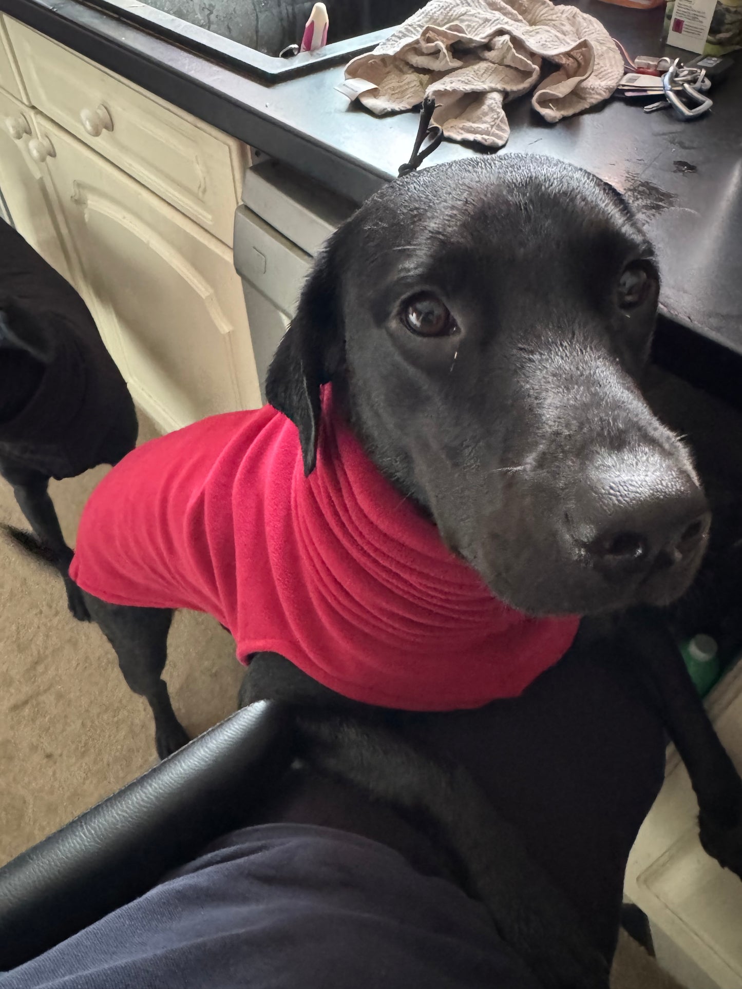 Remington plush fleece jumper