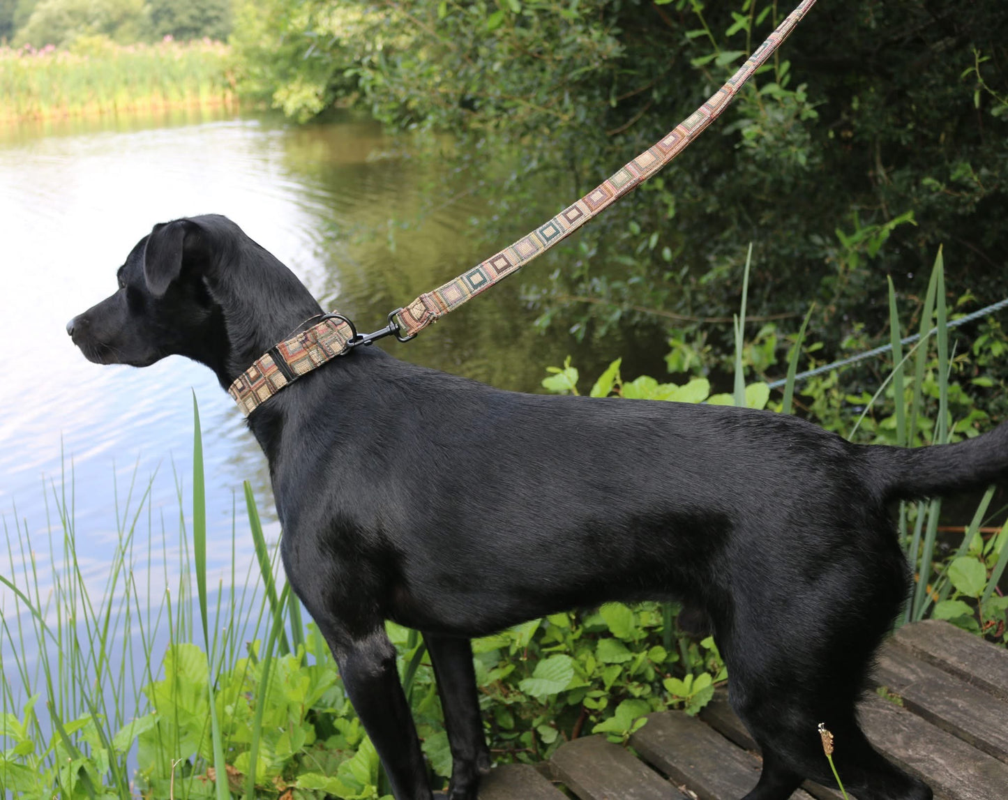 Tapestry martingale collar