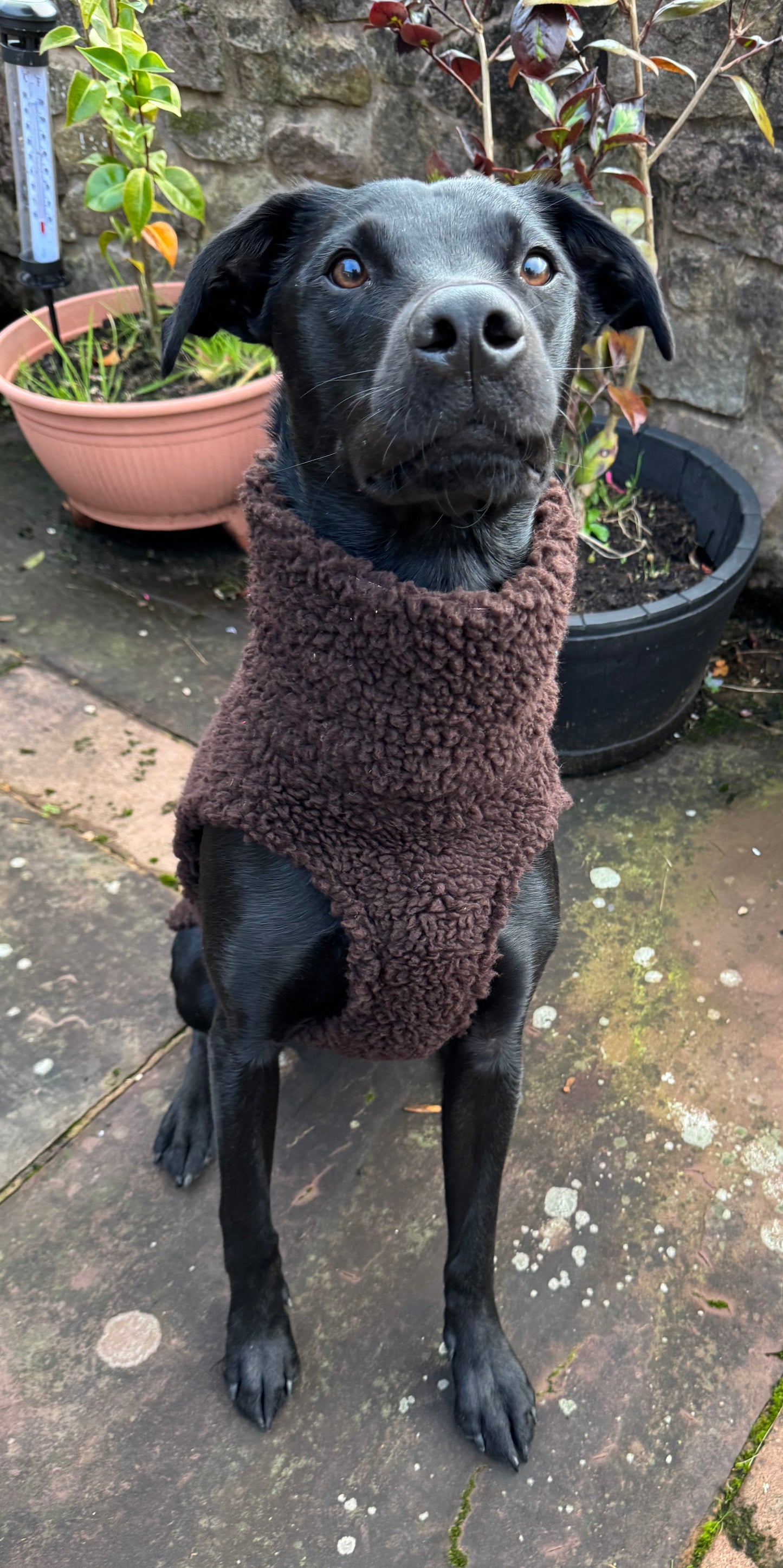 Sherpa fleece sleeveless jumper