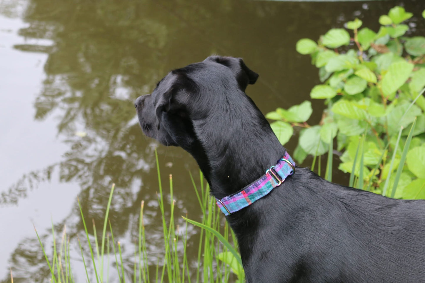 The Luna wool slider collar