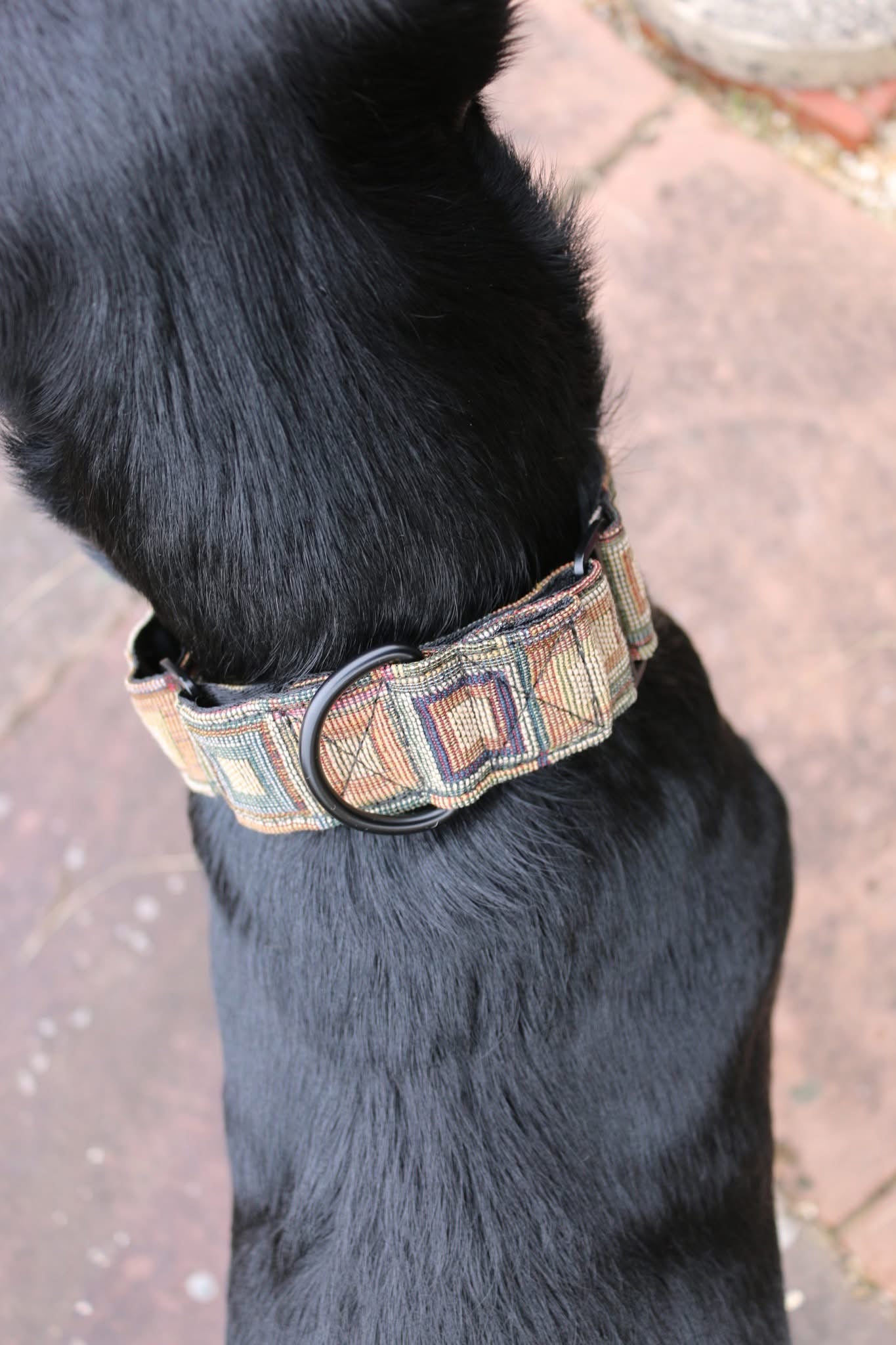 Tapestry martingale collar