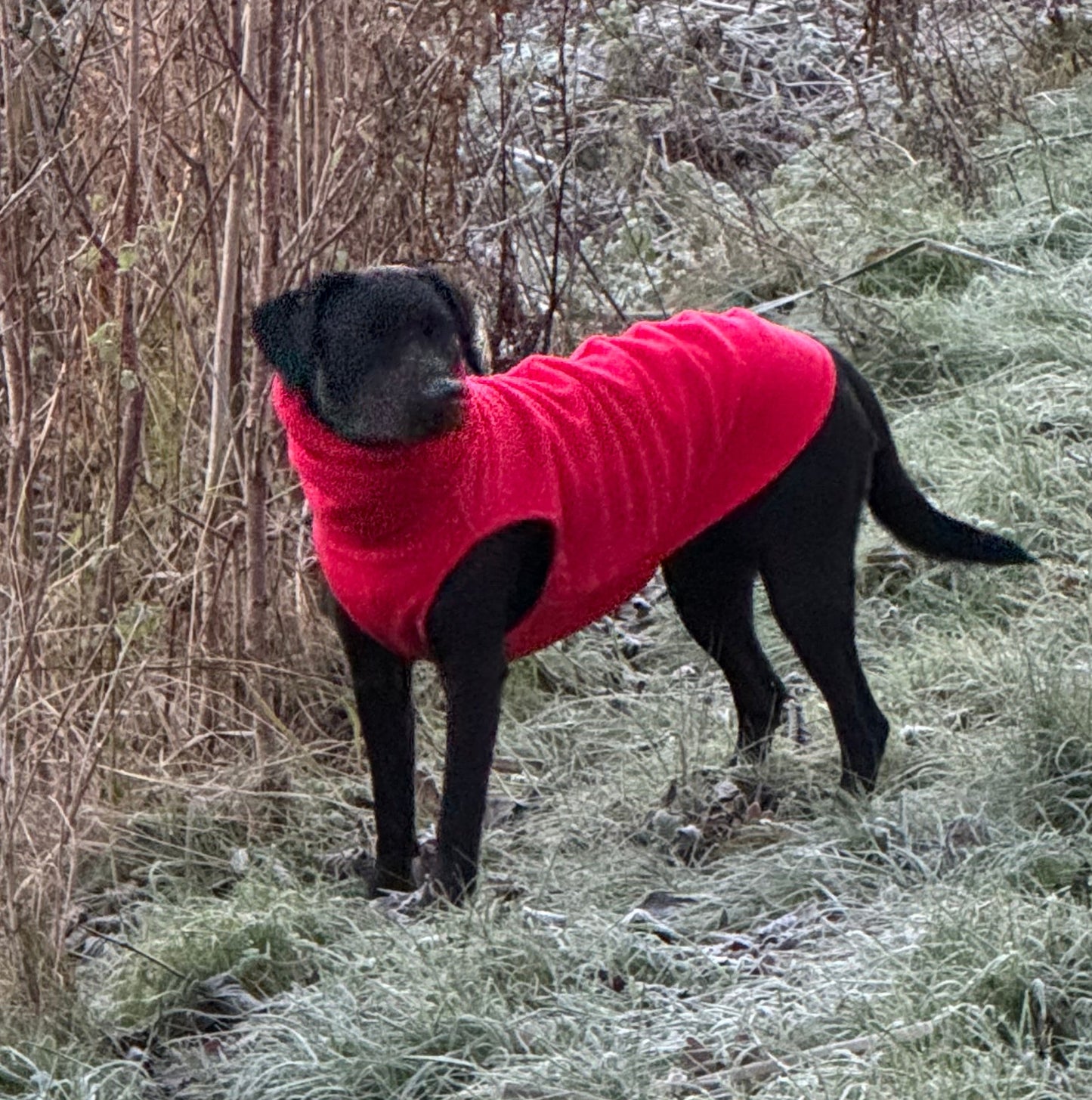 Plain colour polar fleece sleeveless jumpers