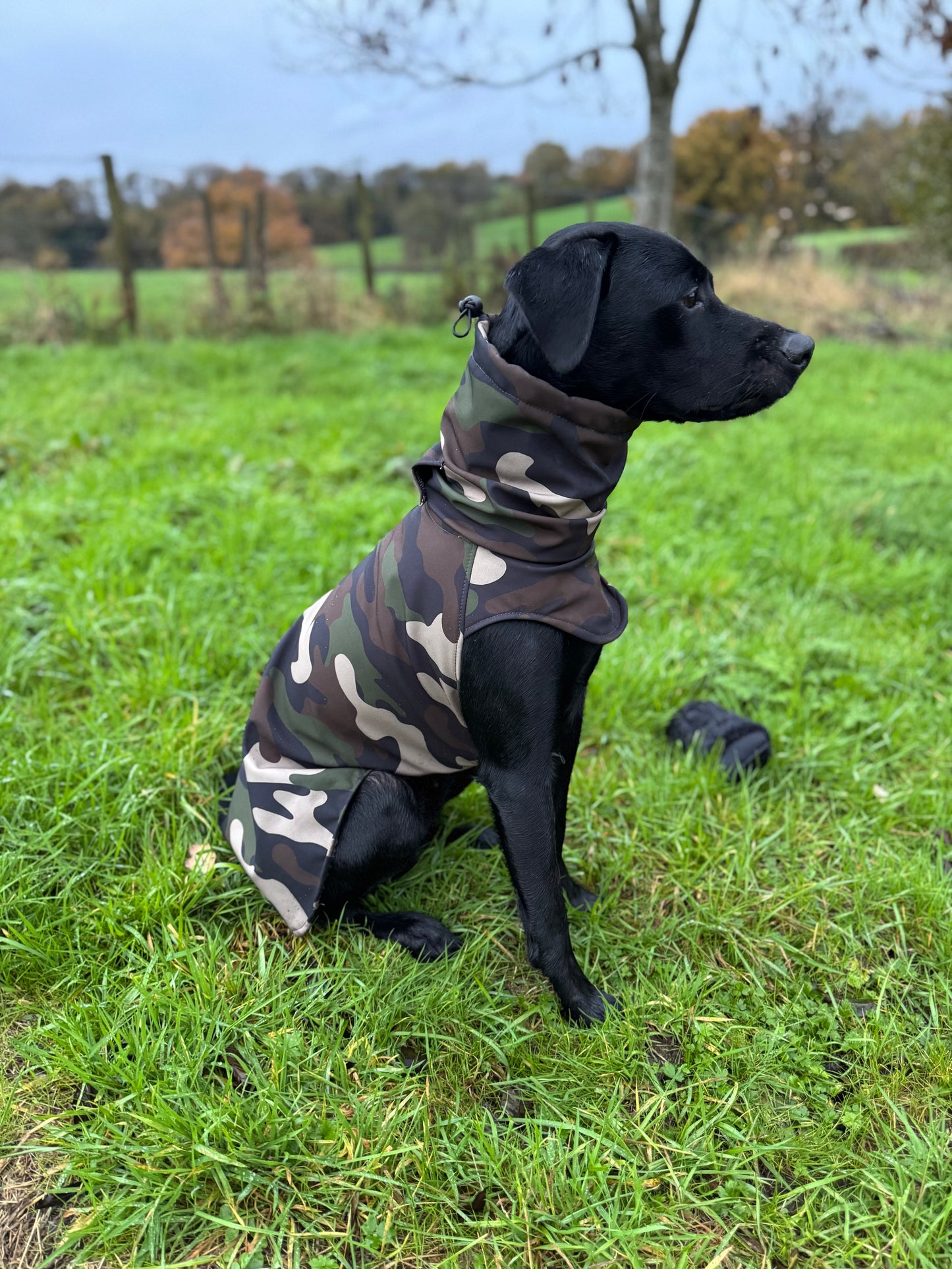 The Winchester Camouflage active wear dog jacket