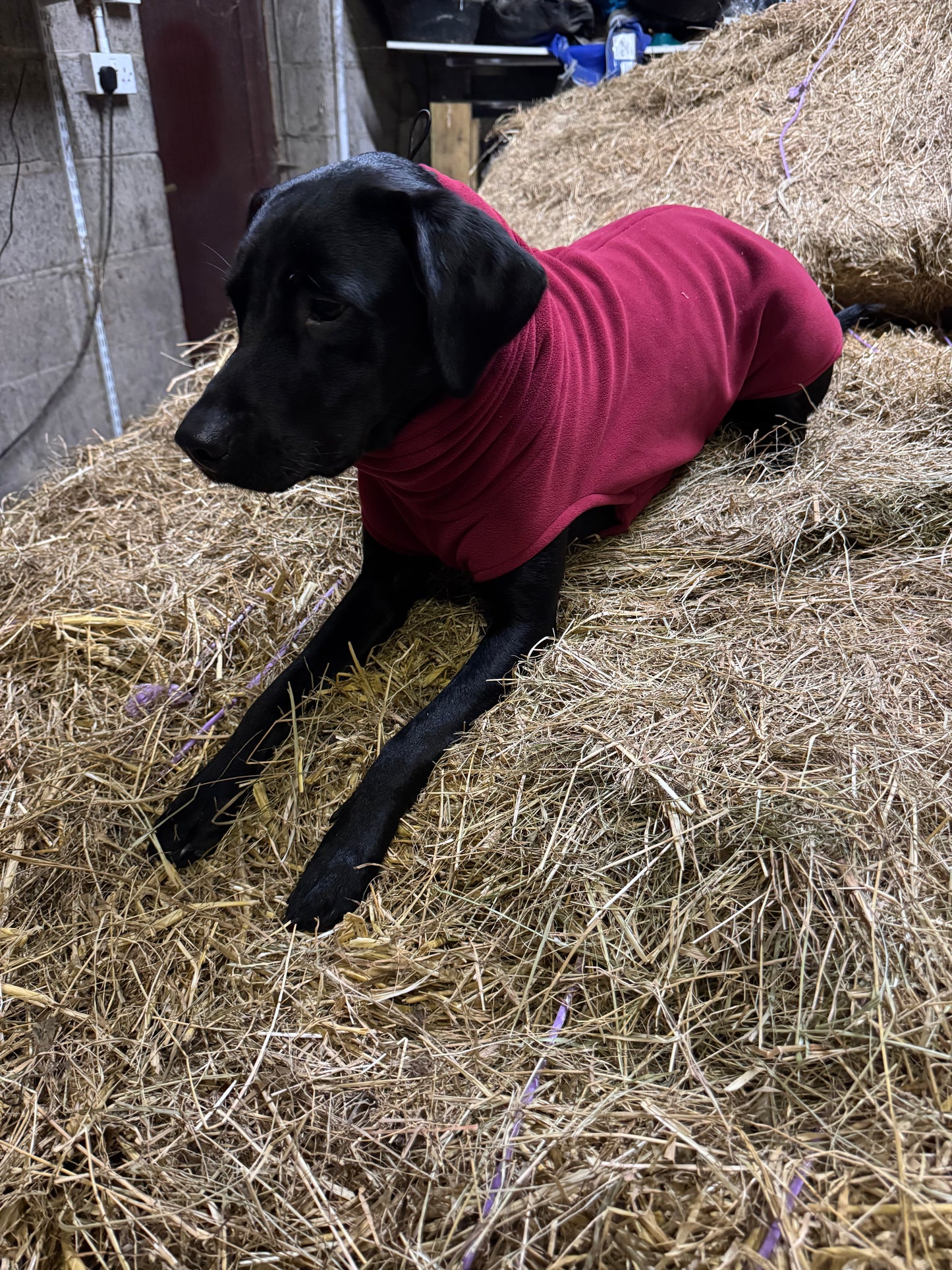 Remington plush fleece jumper