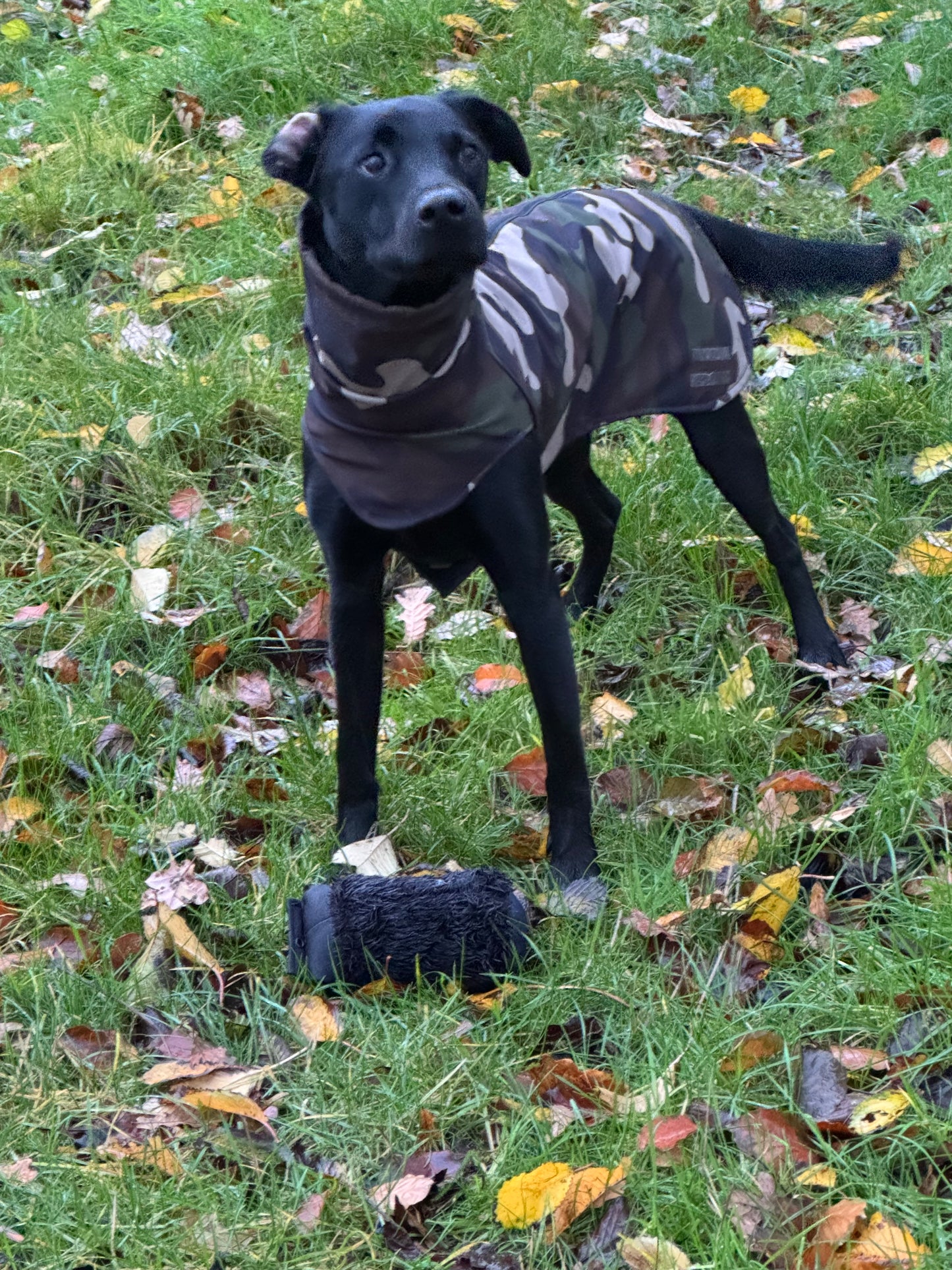 The Winchester Camouflage active wear dog jacket
