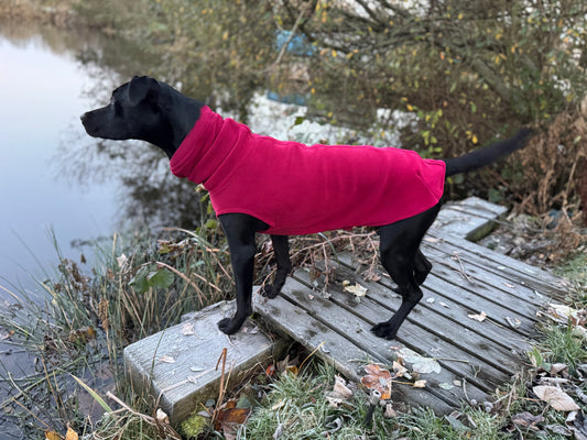 Remington plush fleece jumper