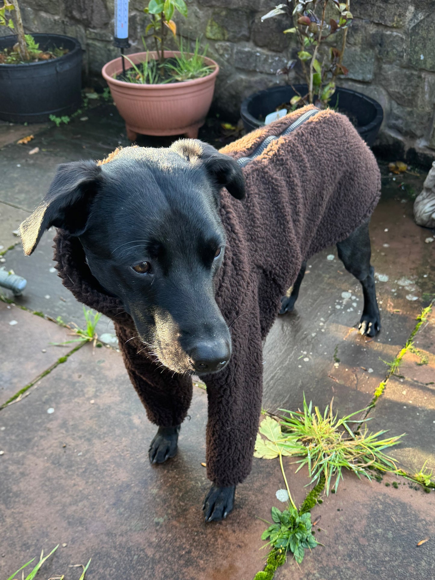 Sherpa sleeved  fleece jumper